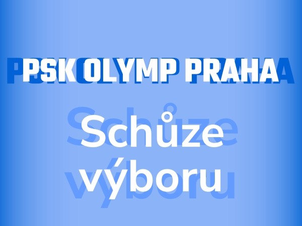 Schůze výboru